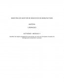 Maestria en gestión de negocios de manufactura
