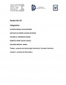 Elevador Hidráulico Interactivo