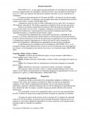 Resumen Ejecutivo Iseg Perú S.A.C