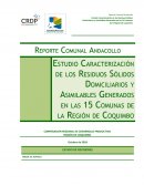 Reporte Comunal Andacollo