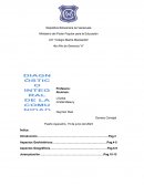 Proyecto diagnóstico integral de una comunidad. Bolsillo de Andrés Eloy Blanco. Comuna: Che-Guevara