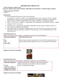 Reporte del proyecto. Página 1