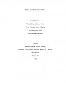 Canales de Distribución