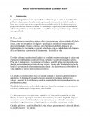 Rol del enfermero en el cuidado del adulto mayor