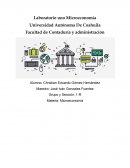 Laboratorio análisis microecónomico