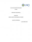 Procesos psicológicos