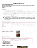 Reporte del proyecto