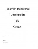 Descripcion de cargos