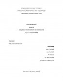 Búsqueda y procedimiento de información. “Míster Taylor”