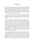 Estructura Organizacional