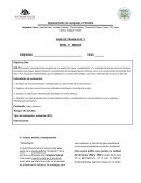 Guia de trabajo "Persépolis" novela gráfica