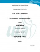 Conceptos fundamentales en el amparo