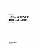 Data Science Job Salaries Ejemplo BI