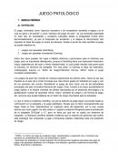 Práctica Intervención Criminología