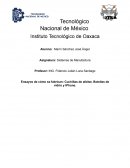 Cuchillas de afeitar, Botellas de vidrio y IPhone