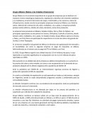 Grupo México (Notas a los Estados Financieros)