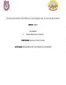 Actividad: resumen de los niveles lógicos