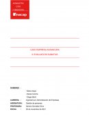 Caso empresa Katancura