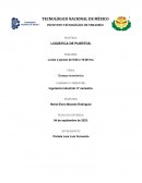 Ensayo de crisis financiera global de 2008