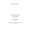 Agregados Nacionales. Fundamento de la Economía