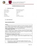 Informe semestral de avance