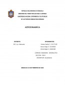 Aerodinámica. Propiedades del flujo adiabatico