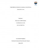 Unidad didáctica de boxeo (técnica Jab y Cross)