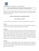 Educación Física – 4°