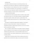 Clasificación por tamaño