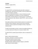 Evidencia 1 Analisi Pestel