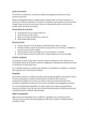 ¿Qué es el territorio?