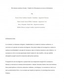 Movimiento armónico forzado : Estudio de la Resonancia en tierra en helicópteros