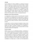 Pruebas de identificación de aminoácidos