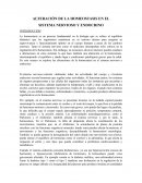 Alteración de la homeostasis en el sistema nervioso y endocrino