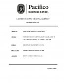 Ineficiencias en cadenas logisticas: el caso de los países sin litoral en América del Sur