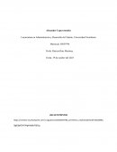 Cuestionario. Háblame de ti