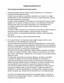 Músculos esqueléticos del Cuerpo Humano