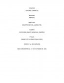 Mi ensayo sobre la emoción alegría