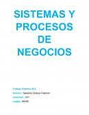 Sistemas y procesos de negocios