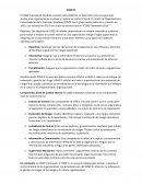 COSO III - Auditoria