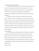 Fenómenos perturbadores hidrometeorológicos