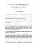 Estudio de mercado Egipto