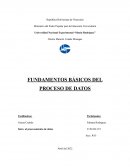 Fundamentos básicos del proceso de datos