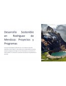 Desarrollo Sostenible en Rodríguez de Mendoza: Proyectos y Programas
