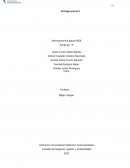 Microeconomia. Fronteras de Posibilidades entre Colombia y Perú Colombia