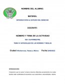 Naturaleza de las normas y reglas