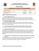 Problemario 16 de Macroeconomia (FACPYA)