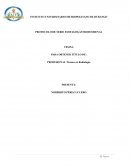 Anatomia del tracto digestivo superior