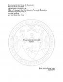 Importancia de la diversidad cultural