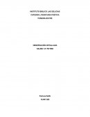 Observación detallada Salmo 121 RV1960